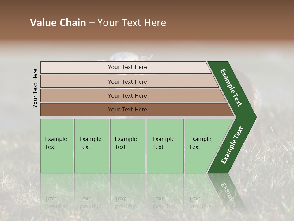 Cute Lamb PowerPoint Template