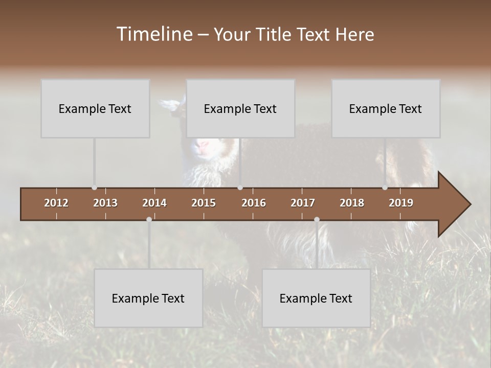 Cute Lamb PowerPoint Template