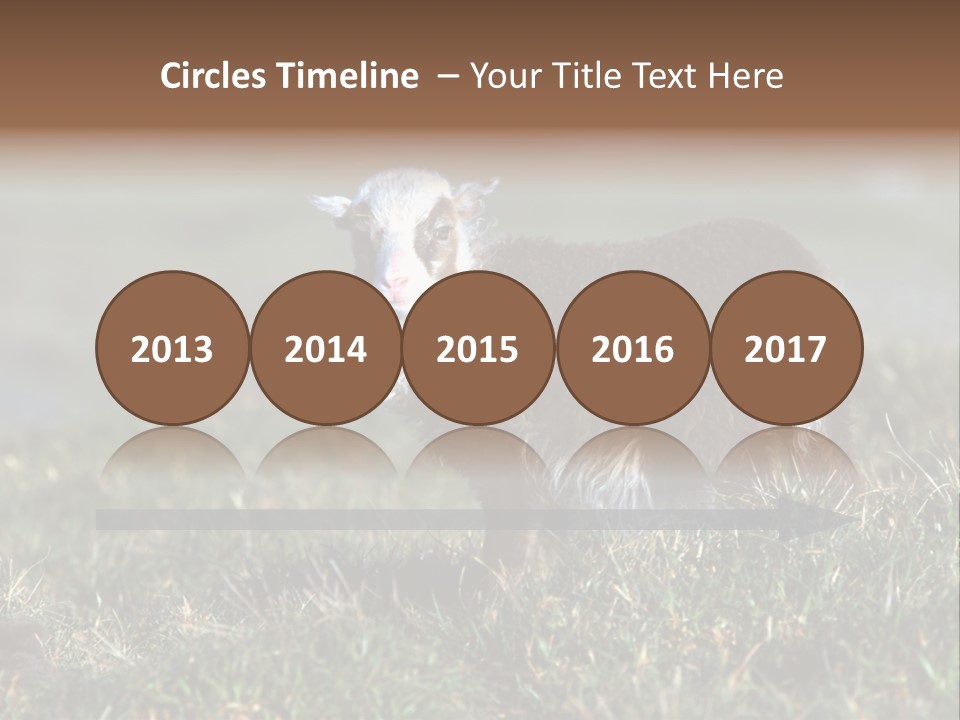 Cute Lamb PowerPoint Template