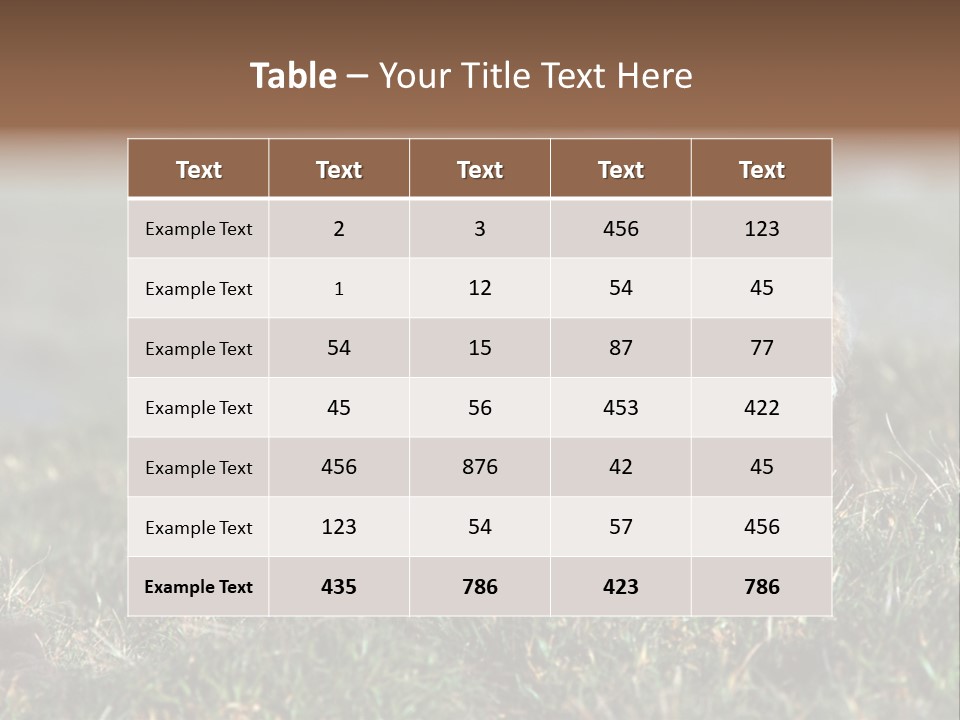 Cute Lamb PowerPoint Template