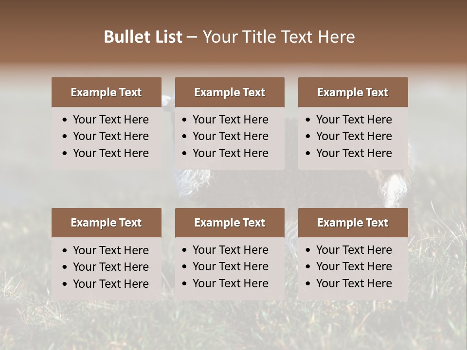 Cute Lamb PowerPoint Template