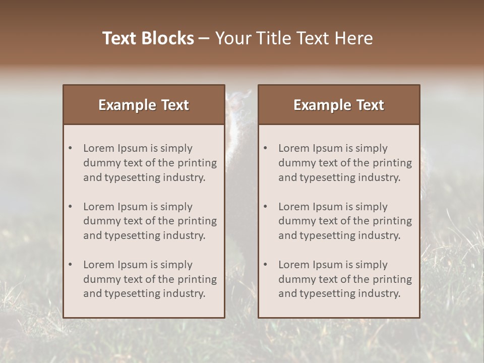 Cute Lamb PowerPoint Template