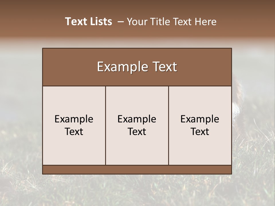 Cute Lamb PowerPoint Template