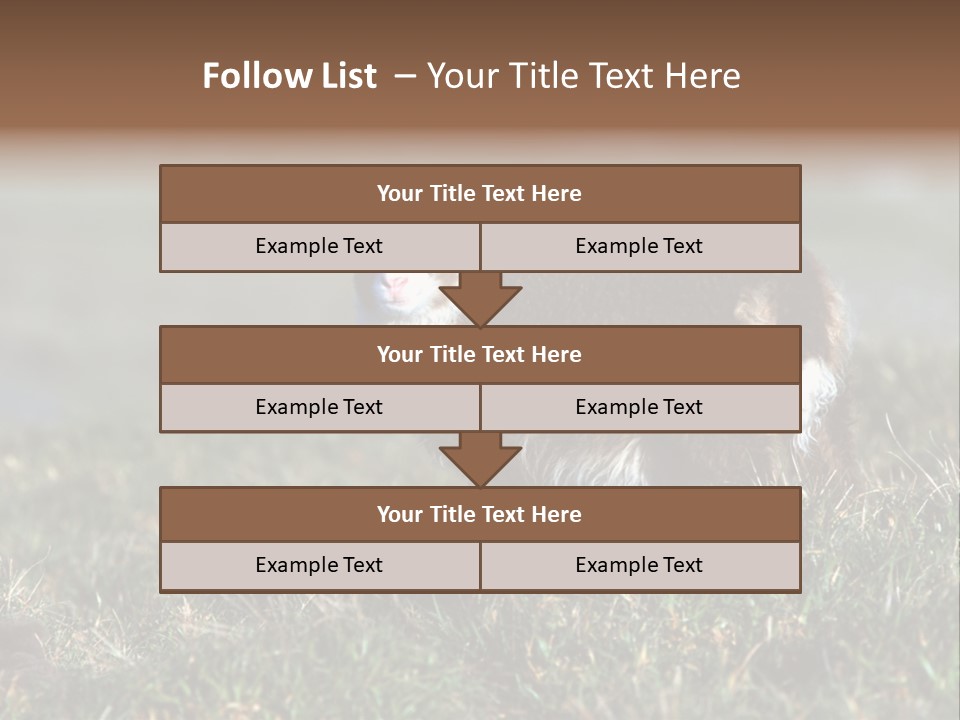 Cute Lamb PowerPoint Template