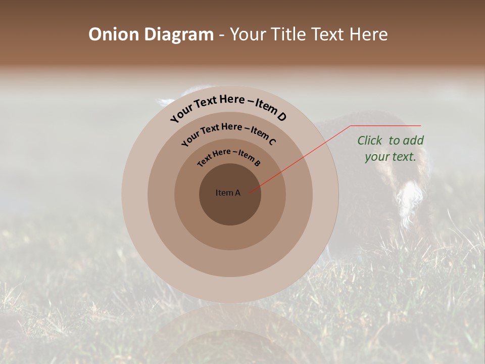 Cute Lamb PowerPoint Template