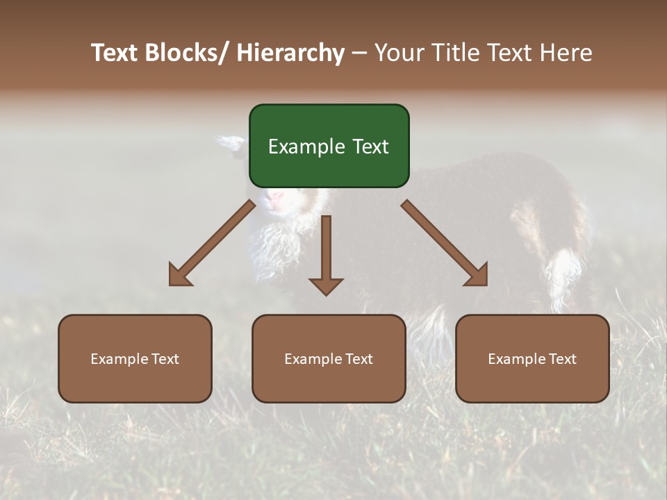 Cute Lamb PowerPoint Template