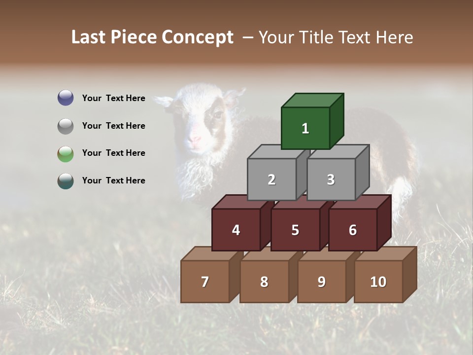 Cute Lamb PowerPoint Template