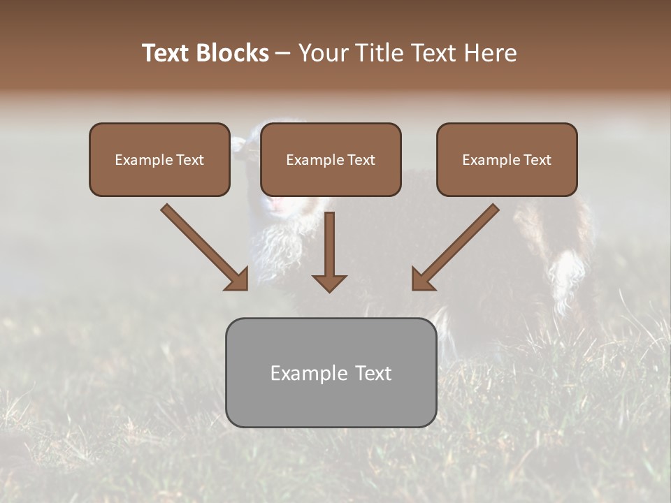 Cute Lamb PowerPoint Template
