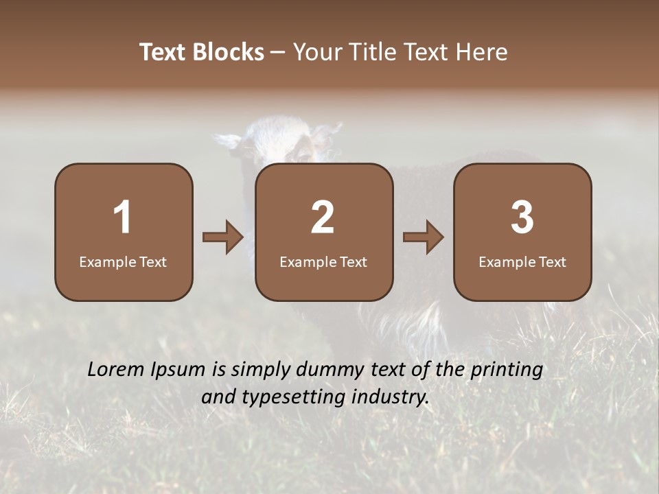 Cute Lamb PowerPoint Template