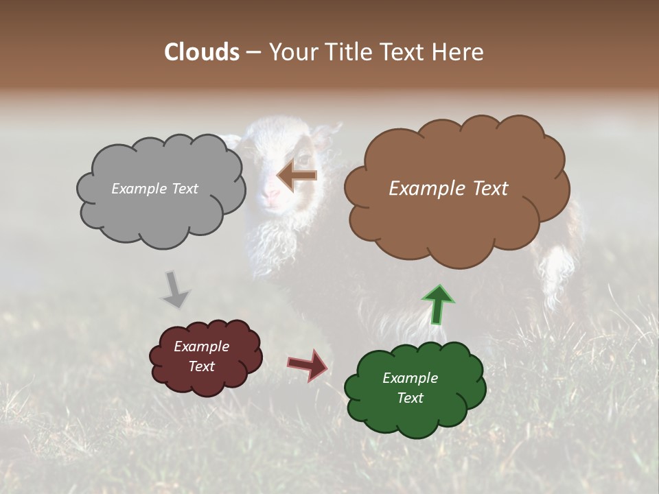 Cute Lamb PowerPoint Template