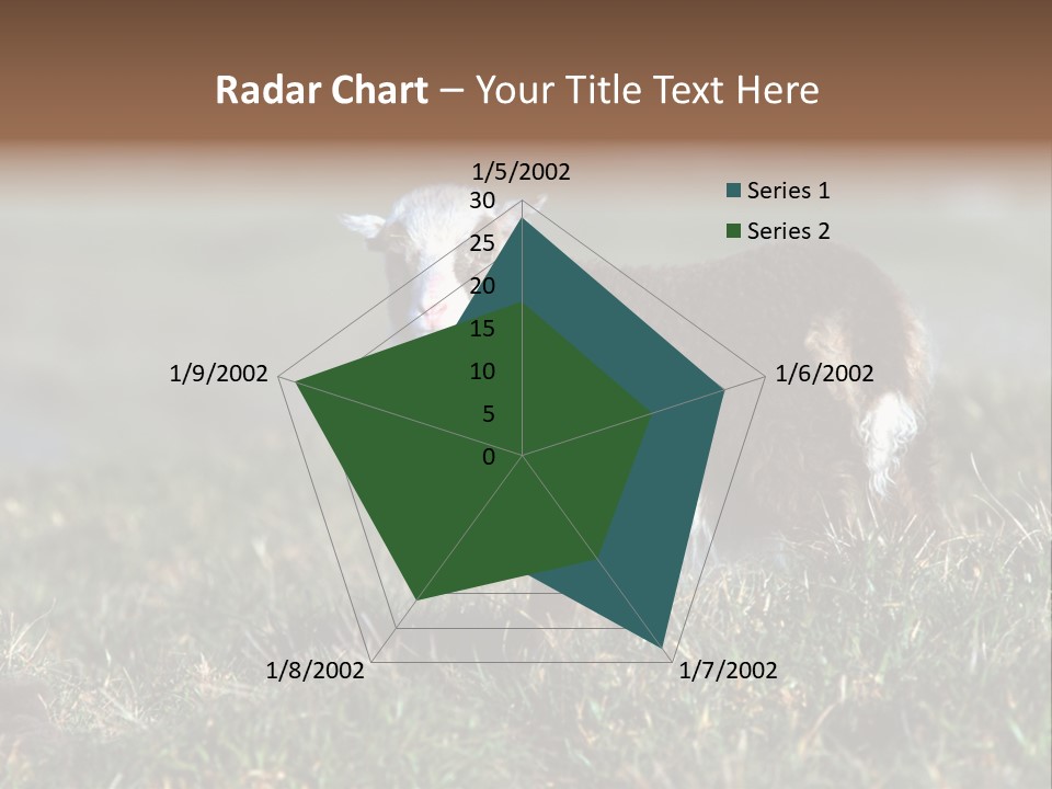Cute Lamb PowerPoint Template