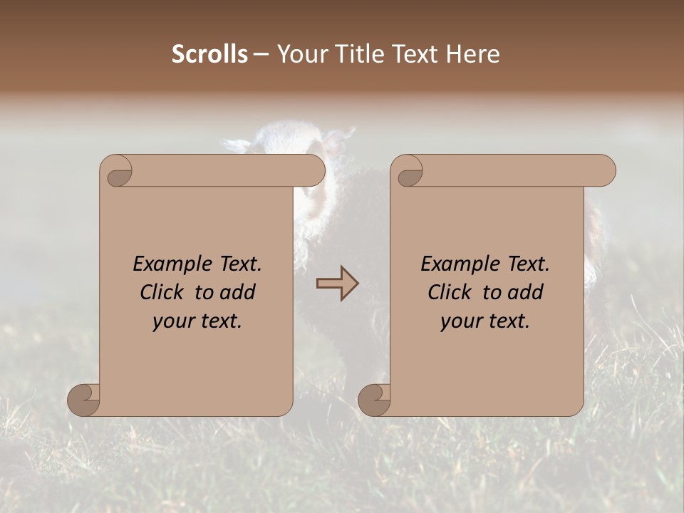 Cute Lamb PowerPoint Template