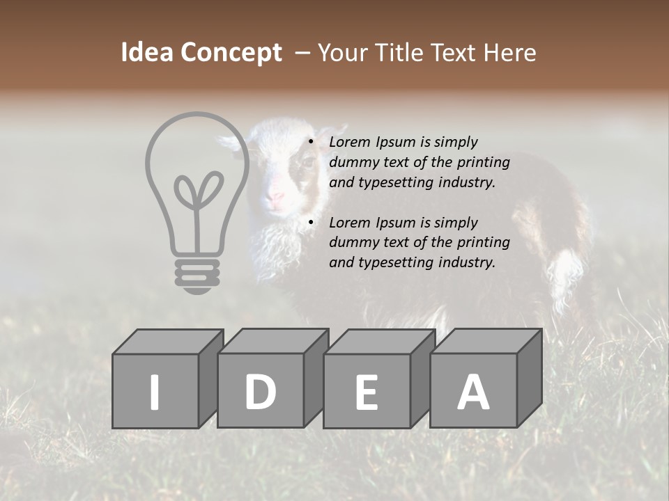 Cute Lamb PowerPoint Template