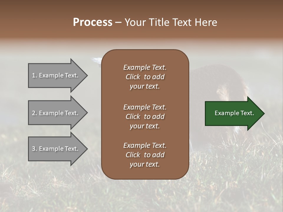 Cute Lamb PowerPoint Template