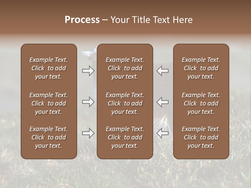 Cute Lamb PowerPoint Template