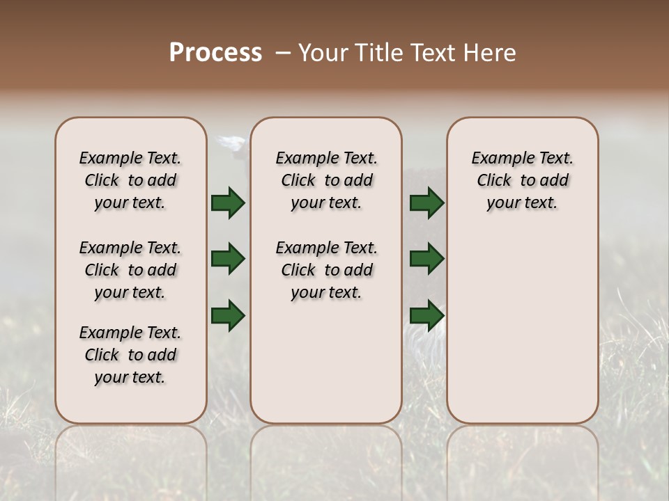 Cute Lamb PowerPoint Template