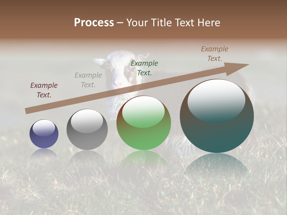 Cute Lamb PowerPoint Template