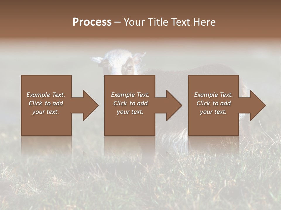 Cute Lamb PowerPoint Template