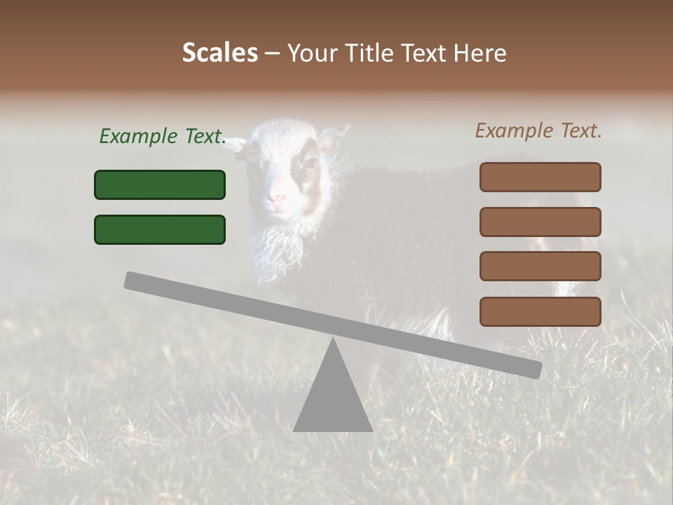 Cute Lamb PowerPoint Template