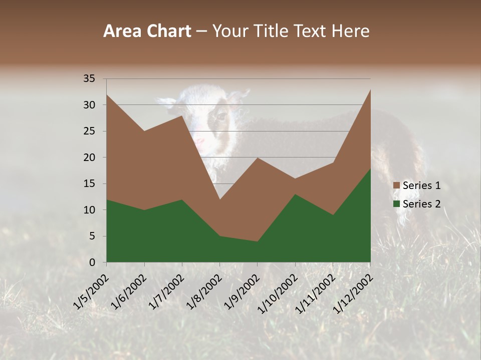 Cute Lamb PowerPoint Template