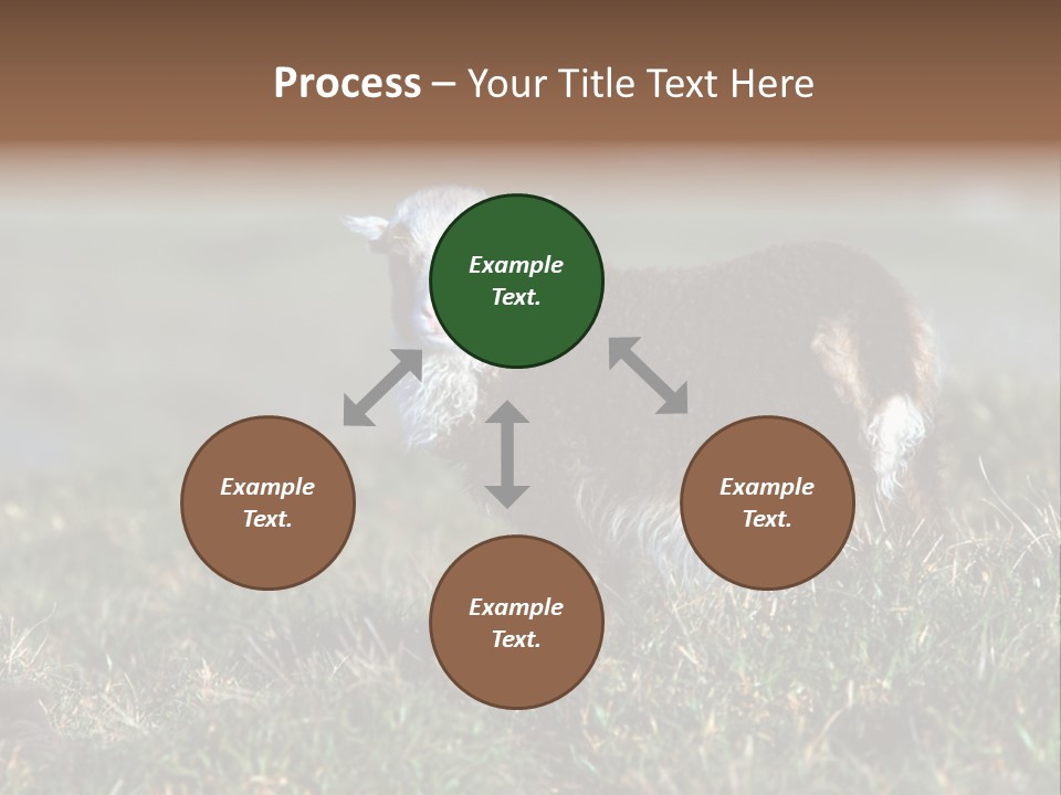 Cute Lamb PowerPoint Template