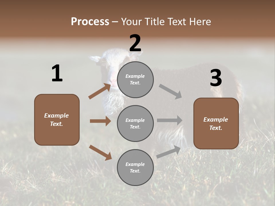 Cute Lamb PowerPoint Template
