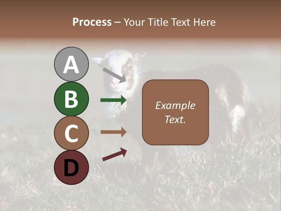 Cute Lamb PowerPoint Template