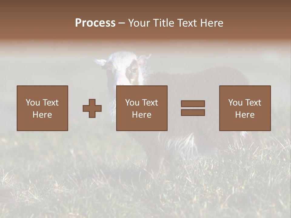 Cute Lamb PowerPoint Template