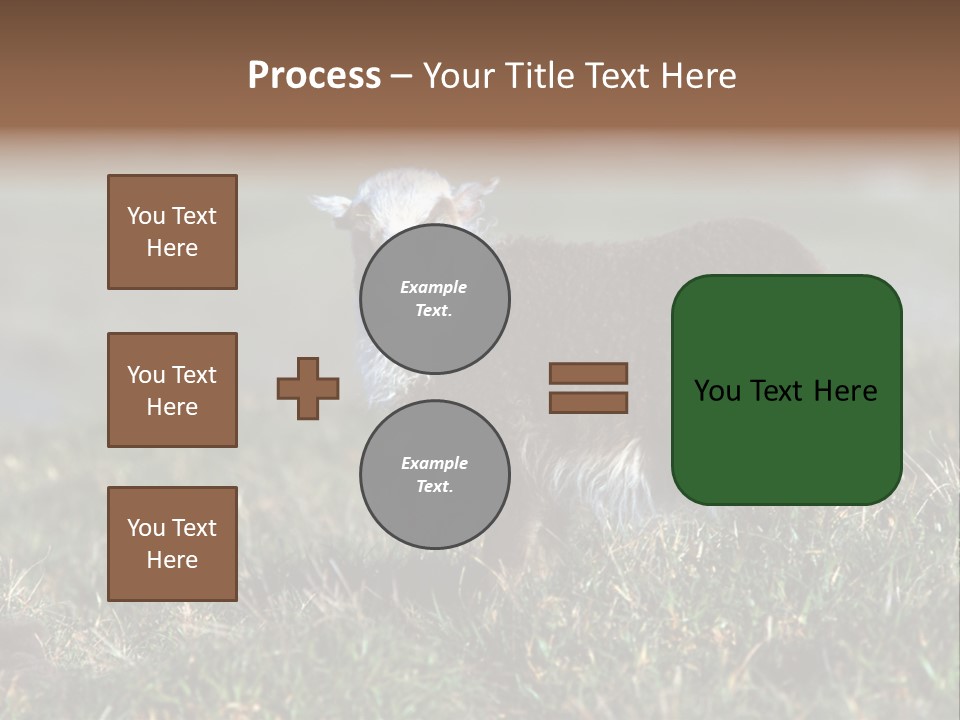 Cute Lamb PowerPoint Template