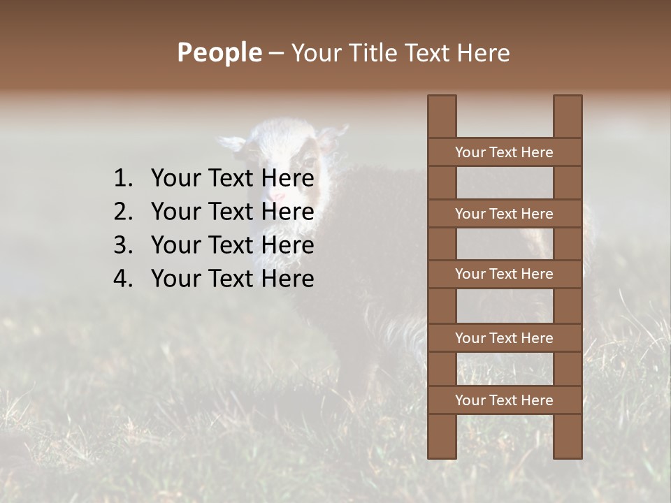 Cute Lamb PowerPoint Template
