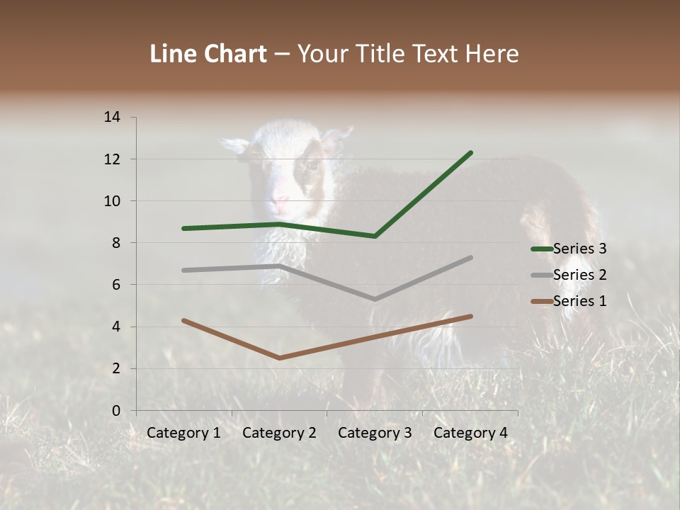 Cute Lamb PowerPoint Template
