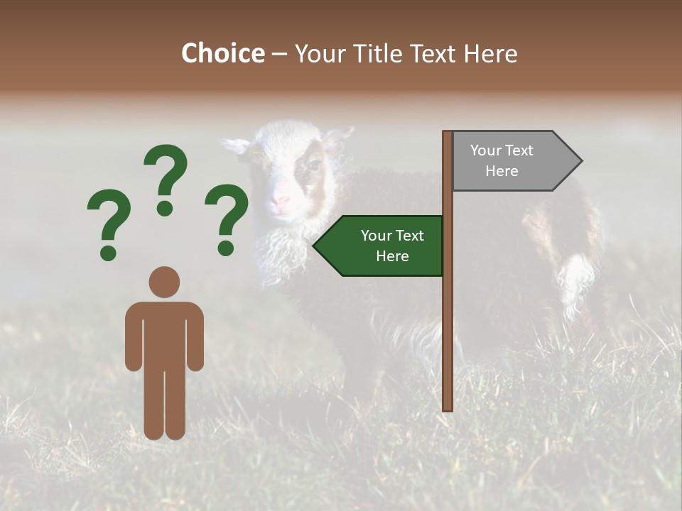 Cute Lamb PowerPoint Template