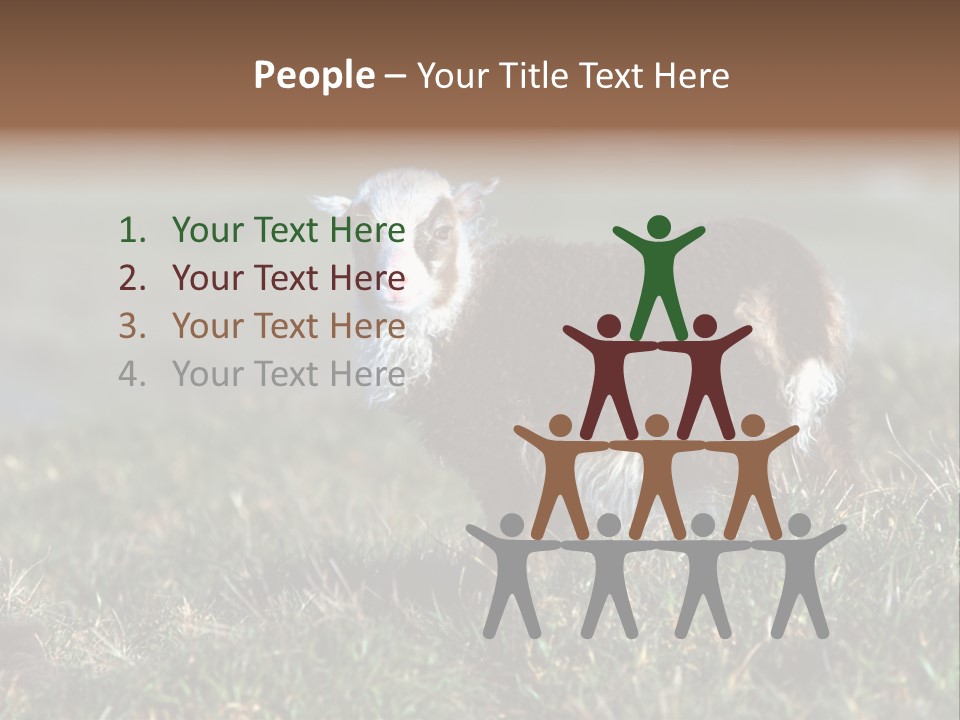 Cute Lamb PowerPoint Template