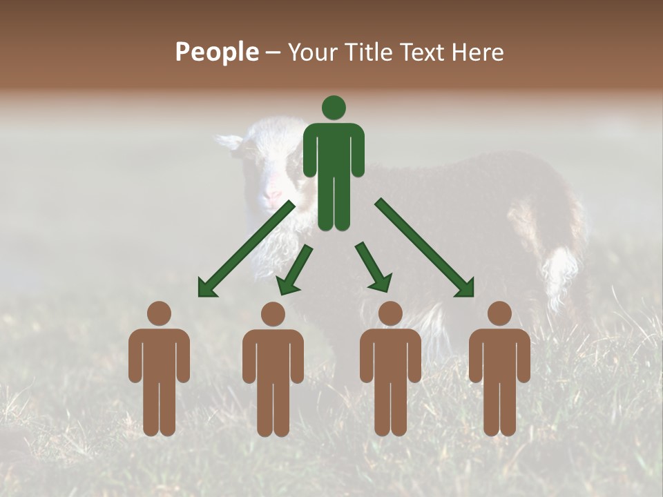 Cute Lamb PowerPoint Template