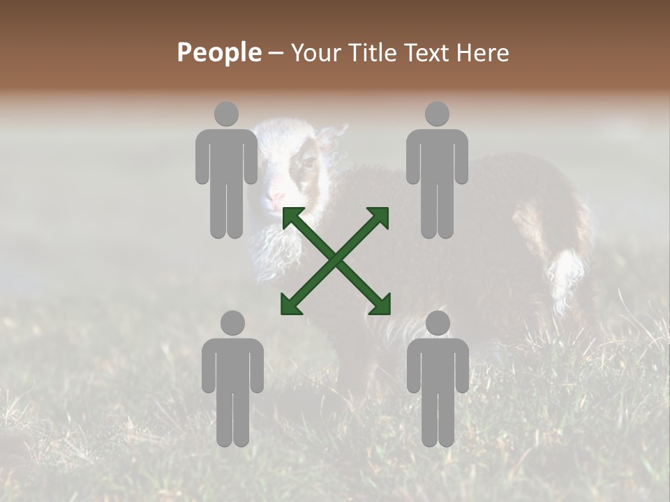 Cute Lamb PowerPoint Template