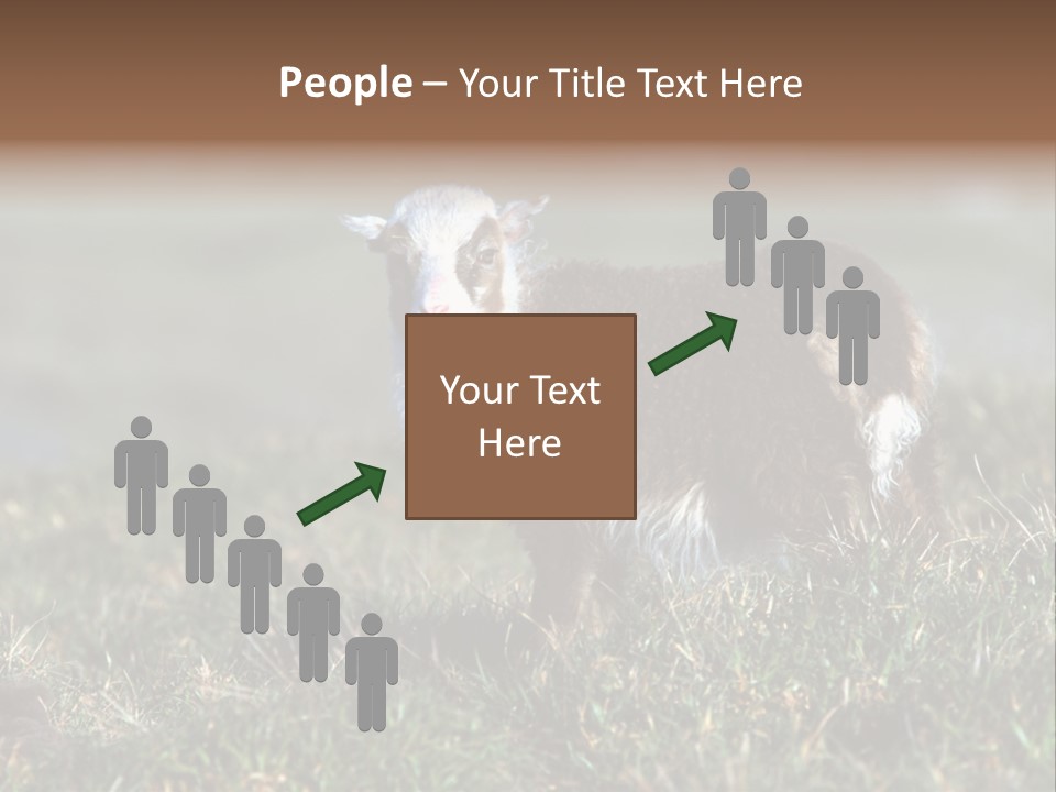 Cute Lamb PowerPoint Template