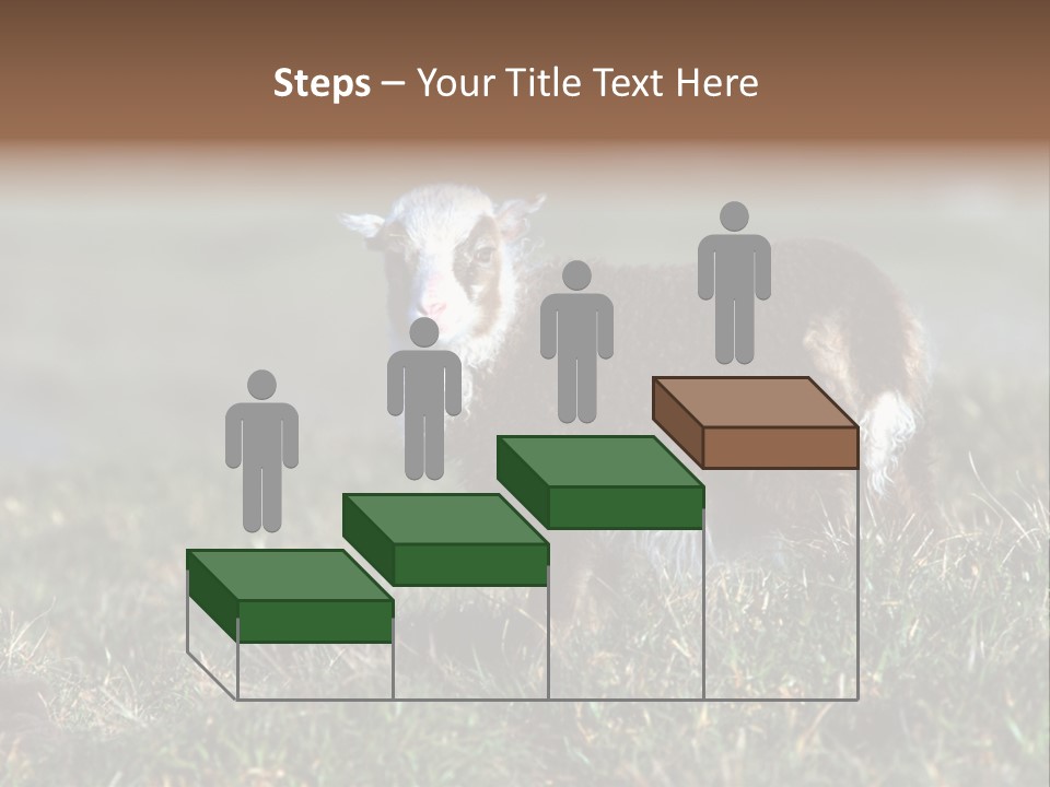 Cute Lamb PowerPoint Template