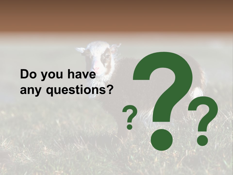 Cute Lamb PowerPoint Template