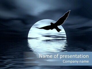 Night Landscape. Moon And Bird PowerPoint Template