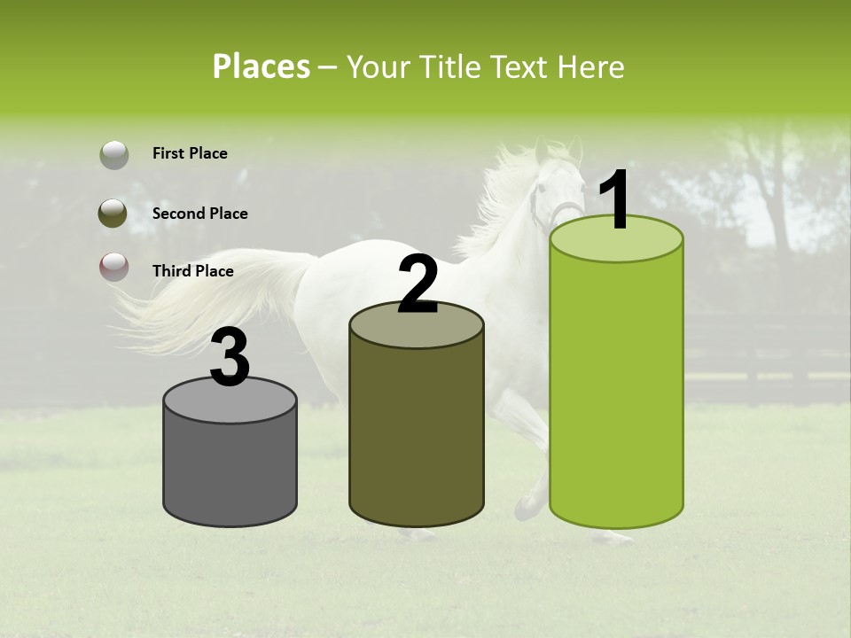 Beautiful Horses 24. See More In My Portfolio PowerPoint Template