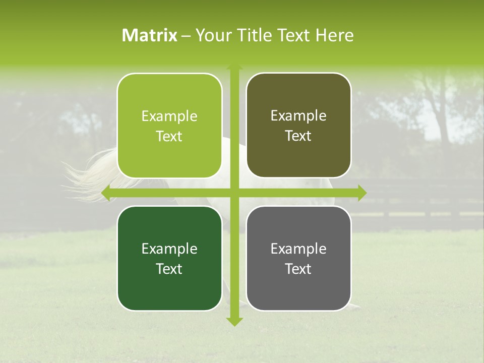 Beautiful Horses 24. See More In My Portfolio PowerPoint Template