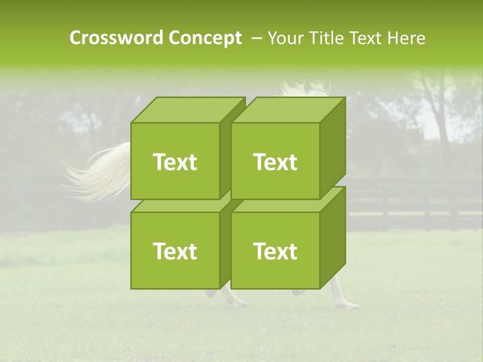 Beautiful Horses 24. See More In My Portfolio PowerPoint Template