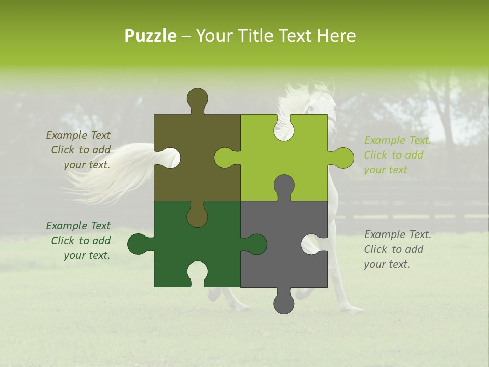 Beautiful Horses 24. See More In My Portfolio PowerPoint Template