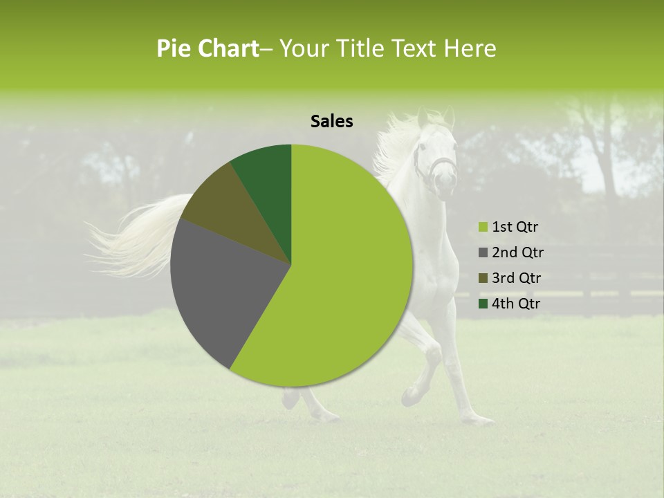 Beautiful Horses 24. See More In My Portfolio PowerPoint Template