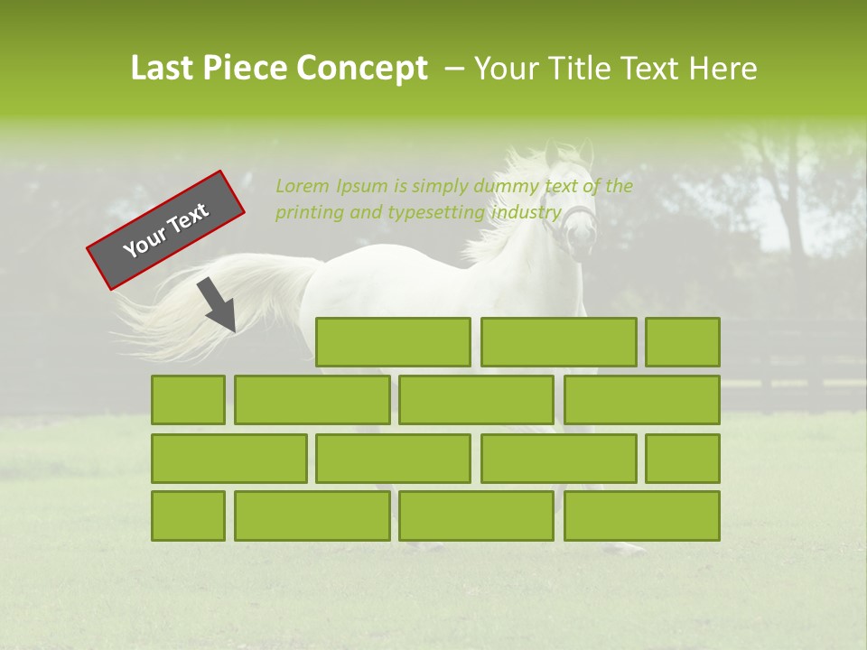 Beautiful Horses 24. See More In My Portfolio PowerPoint Template