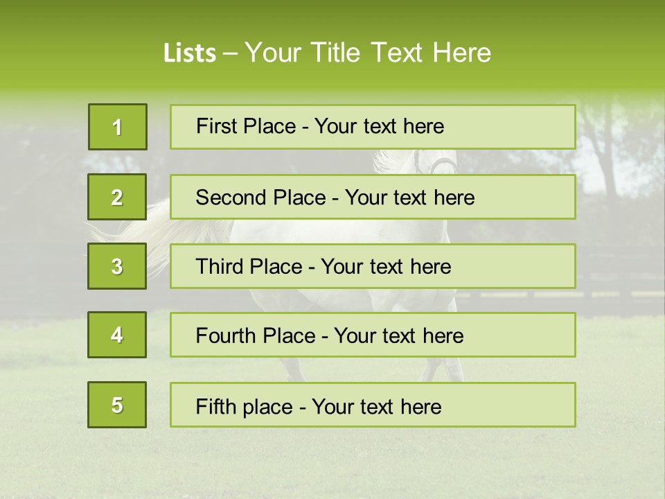 Beautiful Horses 24. See More In My Portfolio PowerPoint Template