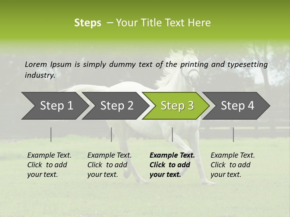 Beautiful Horses 24. See More In My Portfolio PowerPoint Template