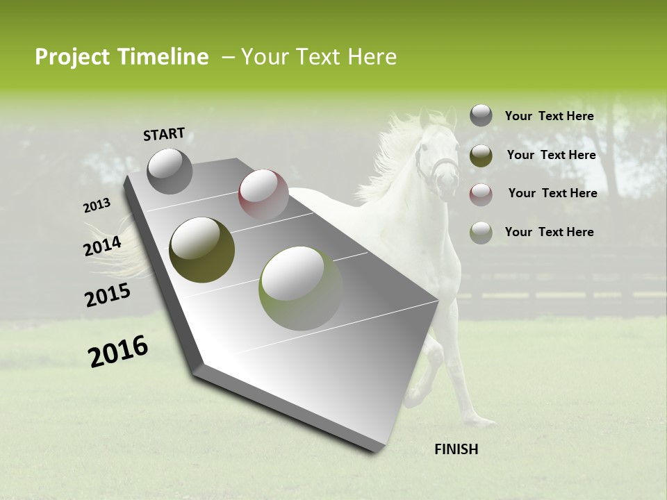 Beautiful Horses 24. See More In My Portfolio PowerPoint Template