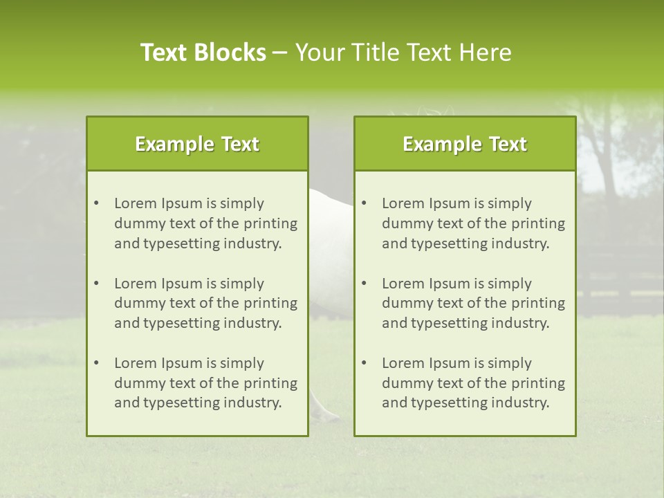 Beautiful Horses 24. See More In My Portfolio PowerPoint Template