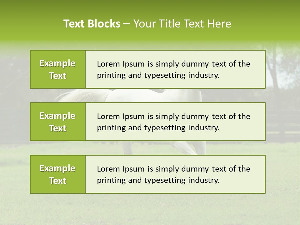 Beautiful Horses 24. See More In My Portfolio PowerPoint Template